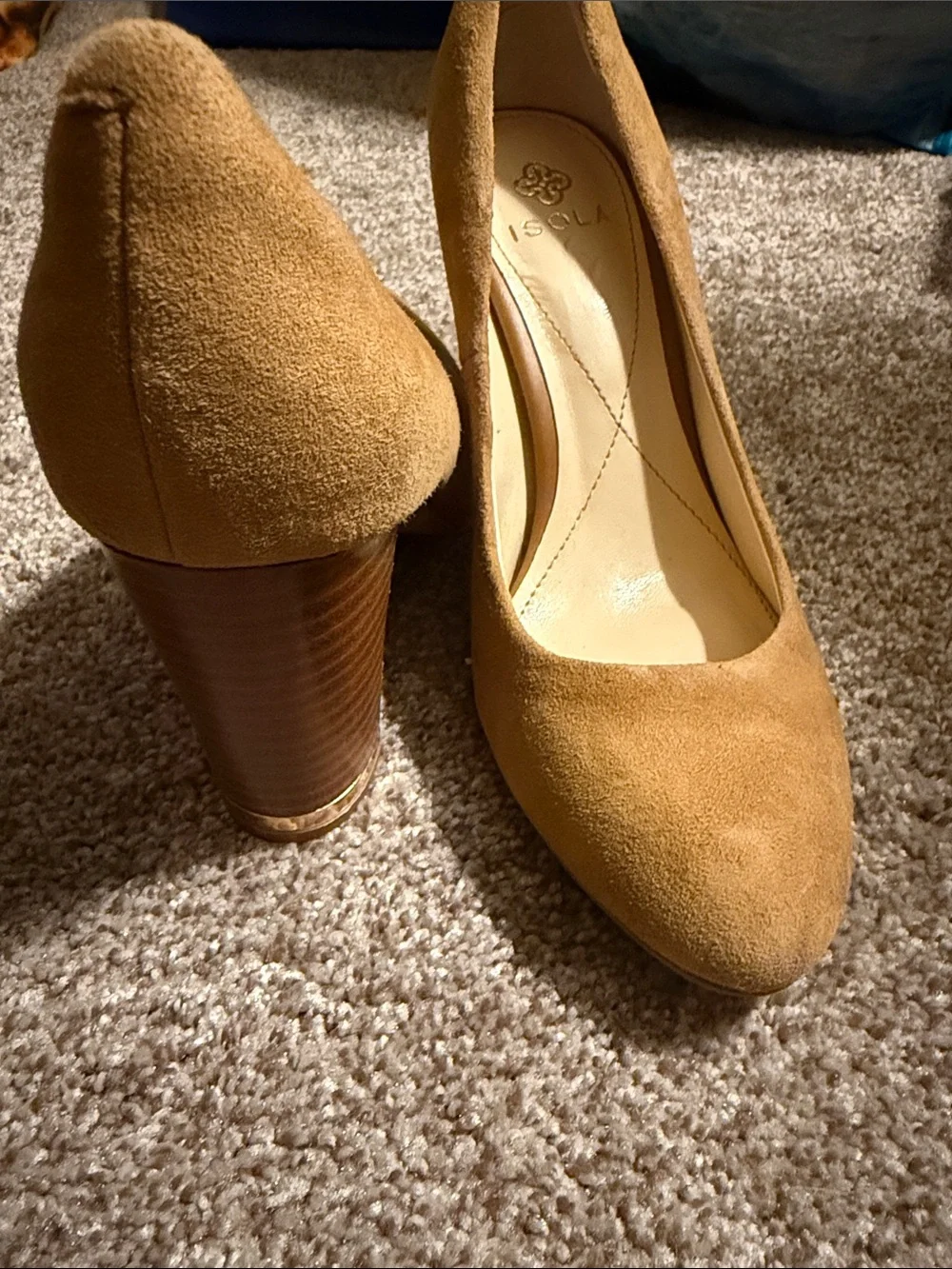 Isola Suede Pointed-Toe Pumps in Camel